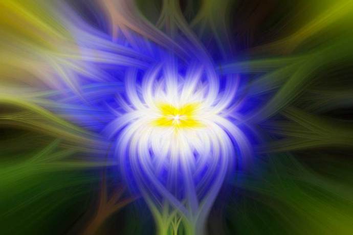 Abstract image of a flower